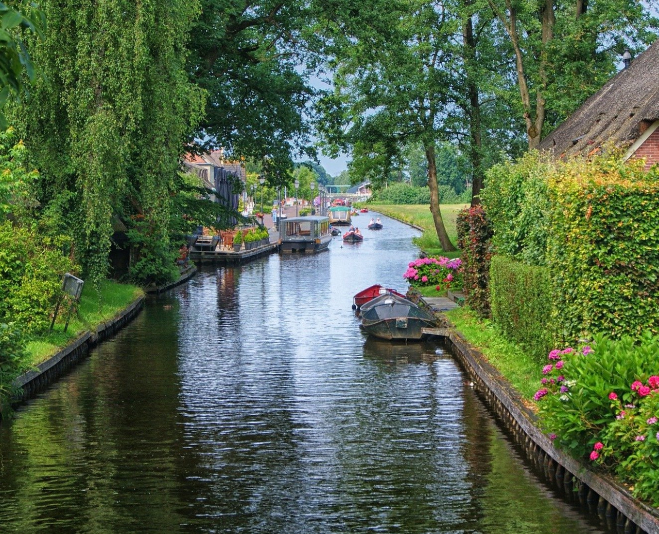 A small stream in the Weerribben